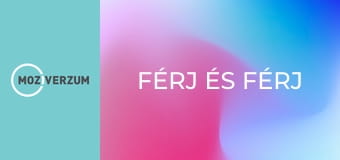 Férj és férj