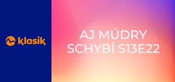 Aj múdry schybí S13E22