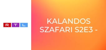 Kalandos szafari S2E3 - Quincy zsenialitása / A varázsfüge