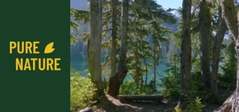 Национален парк Маунт Рейниър