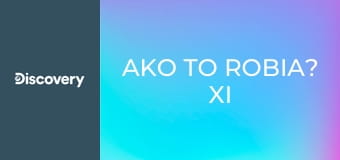 Ako to robia? XI (9)