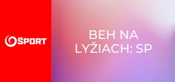 Beh na lyžiach: SP mužov: Lillehammer
