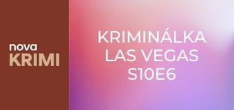 Kriminálka Las Vegas S10E6 - Smrt a panna