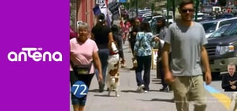 77 TV S4E5 - Przypadki zwierząt w nietypowych sytuacjach