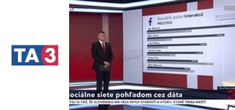 Politika online
