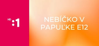 Nebíčko v papuľke E12 - Banská Bystrica