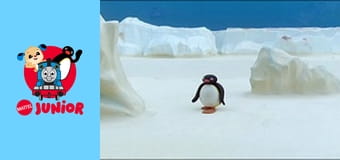 The Pingu Show Sezon 1 Episod 46