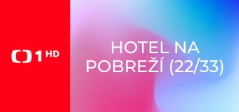 Hotel na pobreží (22/33)
