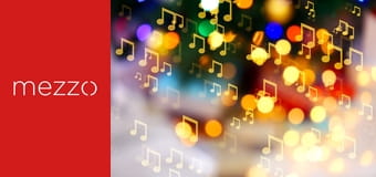 Electronic Vibrations - A sound changes the world