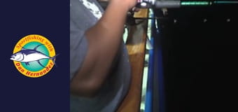 Freelance - Twilight