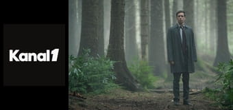 Vraždy v Dubline S1E8