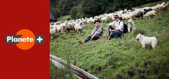 Lifetramp - życie na próbę S2E8