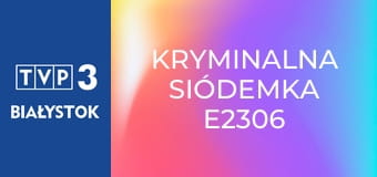 Kryminalna siódemka E2306