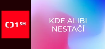 Kde alibi nestačí
