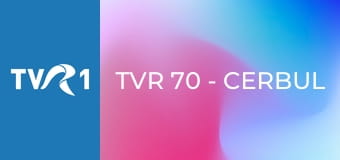 TVR 70 - Cerbul de Aur: Generaţii