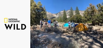 Dzika konfrontacja E5 - Zbyt blisko natury