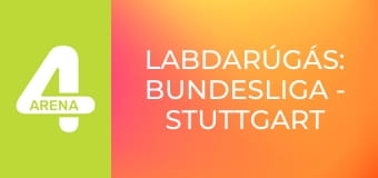 Labdarúgás: Bundesliga - Stuttgart – Dortmund