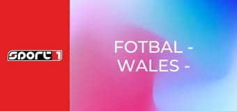 Fotbal - Wales - Bosna a Hercegovina