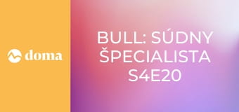 Bull: Súdny špecialista S4E20