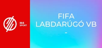 FIFA labdarúgó vb - háttértörténetek