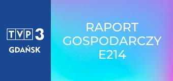 Raport gospodarczy E214