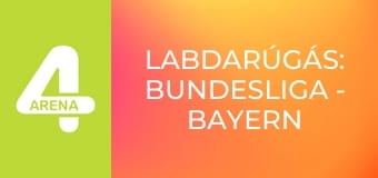 Labdarúgás: Bundesliga - Bayern München – Union Berlin