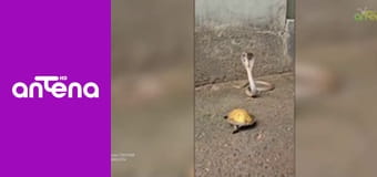 Najlepsze koncerty Szlagier TV! E5 - Koncert urodzinowy