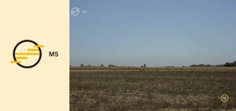 MMA-portrék - Királylányok a pusztában – Tóth Erzsébet költő