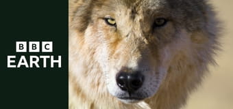 Azja: kulisy produkcji S1E1