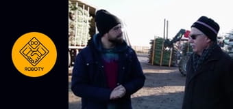 Praca na plantacji choinek bożonarodzeniowych ? *Jak długo rośnie choinka?*