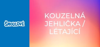 Kouzelná jehlička / Létající snídaně Kouzelná jehlička / Létající snídaně