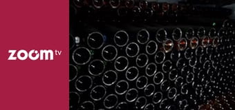 Bliżej! Magazyn reporterów S11E12