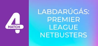 Labdarúgás: Premier League Netbusters