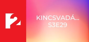 Kincsvadászok S3E29