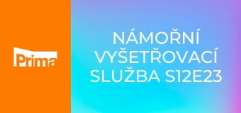 Námořní vyšetřovací služba S12E23 - Ztracení chlapci