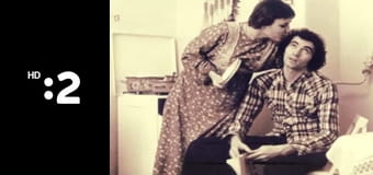 Nežný revolucionár