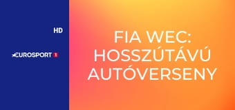 Fia Wec: Hosszútávú Autóverseny Világbajnokság Le Mans 24h - Verseny