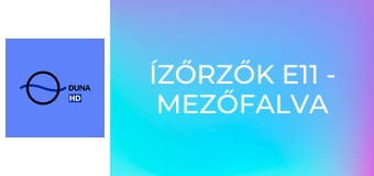 Ízőrzők E11 - Mezőfalva