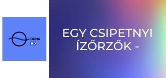 Egy csipetnyi Ízőrzők - Csirke vadas mártással