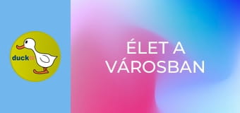 Élet a városban Élet a városban