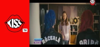 Kiss By Night Kiss By Night