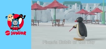 Pingu In The City Sezonul 1 Episodul 22