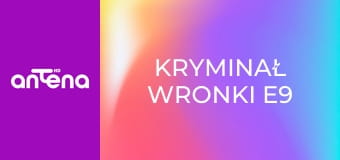 Kryminał Wronki E9