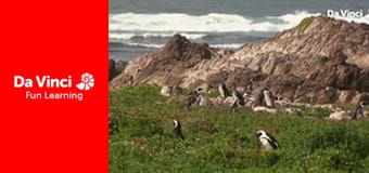 Siyaya. Droga przez Afrykę - Szukaj Wielkiej Siódemki, część 1: Ogród Edenu