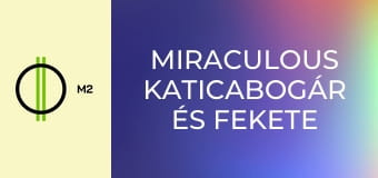 Miraculous Katicabogár és Fekete Macska kalandjai - A kezdetek – 2. rész