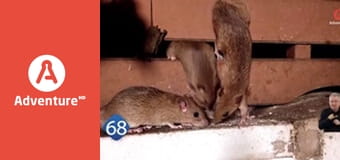 77 TV E9 - Przypadki natury