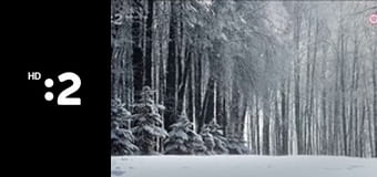 Edvard Munch - Výkrik života