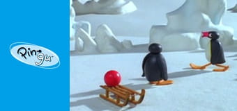 Pingu Sezon 6 Odcinek 17
