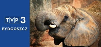 Prywatne życie zwierząt S3E3 - Zła reputacja