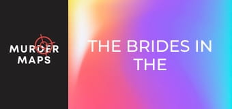 Vrah nevěst ve vaně